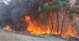 Έβρος- φωτιά