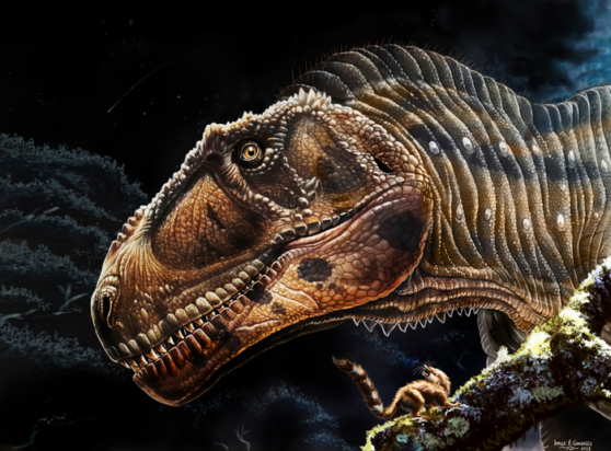 Meraxes Δεινόσαυρος Αργεντινή