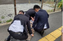 Ιαπωνία - δράστης