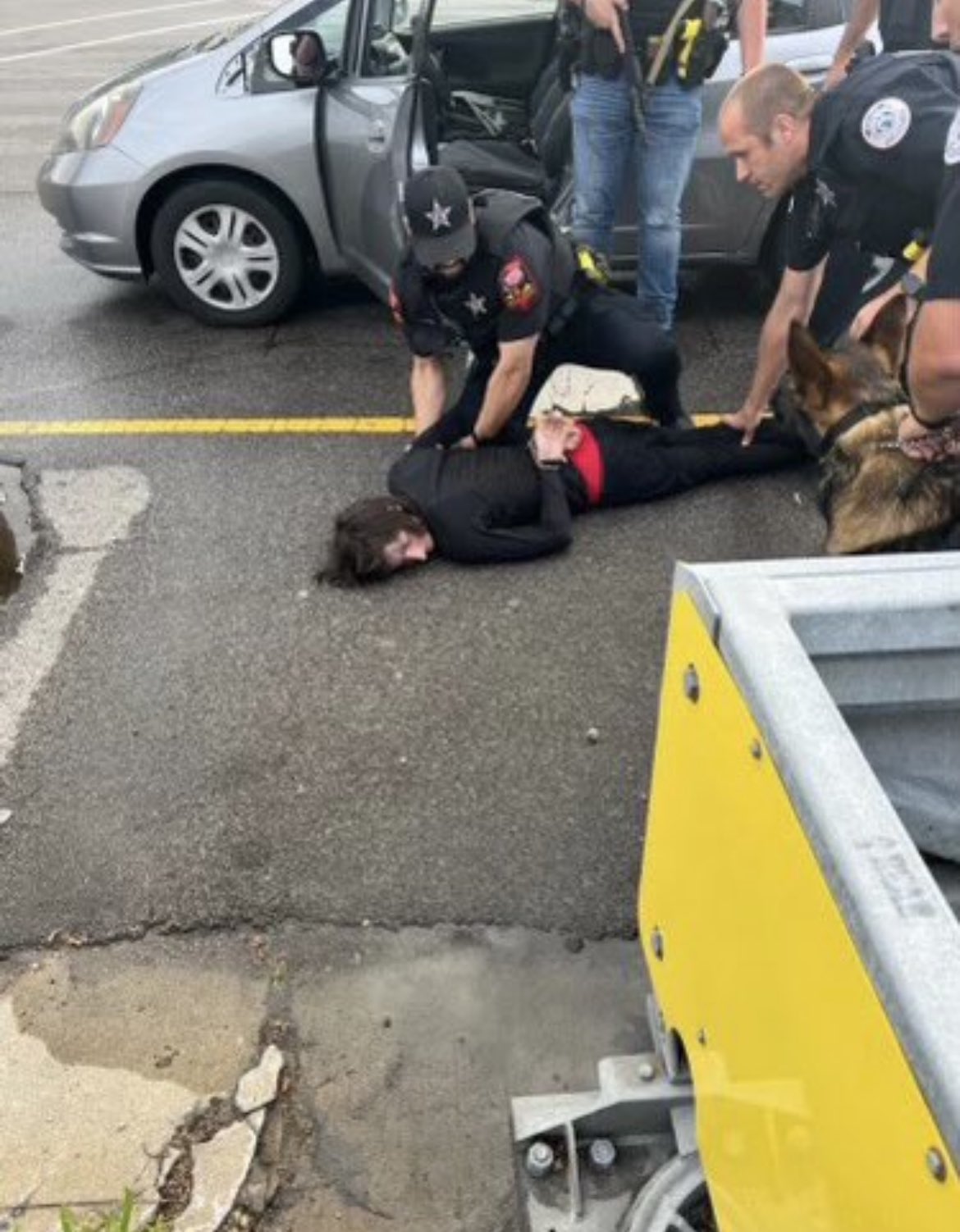 ΗΠΑ πυροβολισμοί Ιλινόις Δράστης