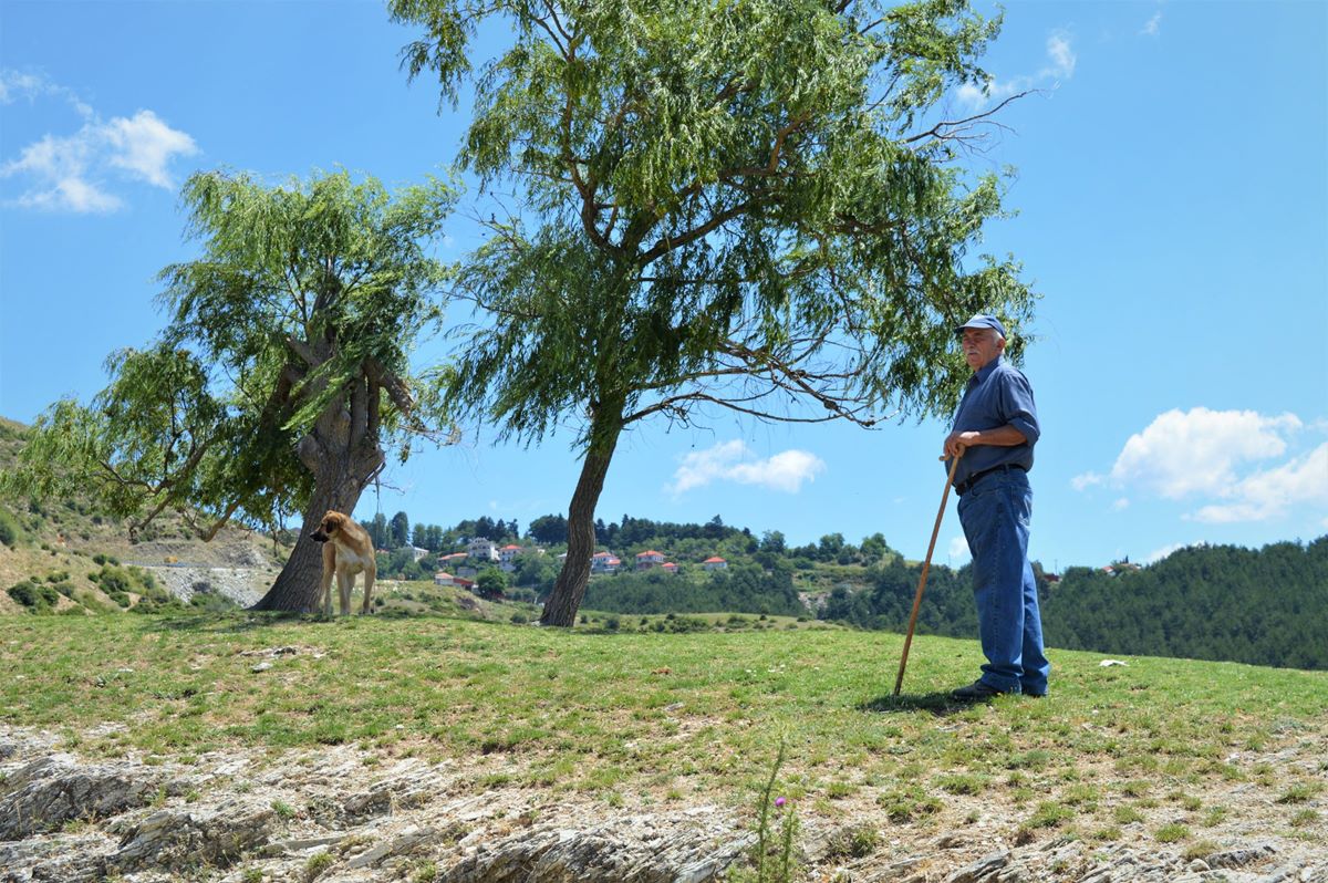 Ελασσόνα - pole dancing