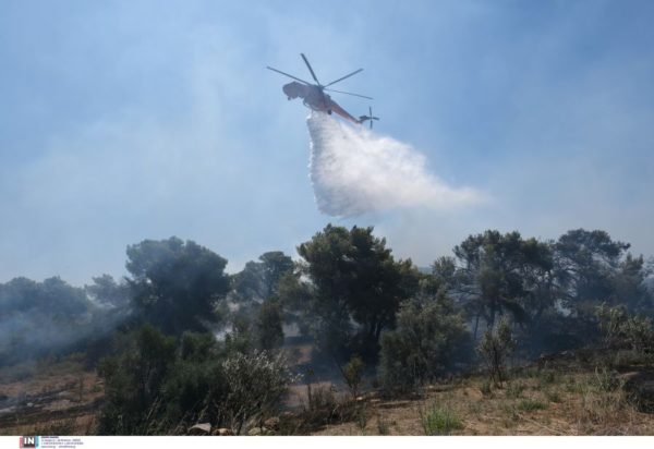 Ελικόπτερο Ericson