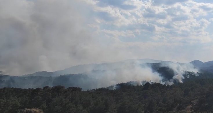 φωτιά στον Έβρο