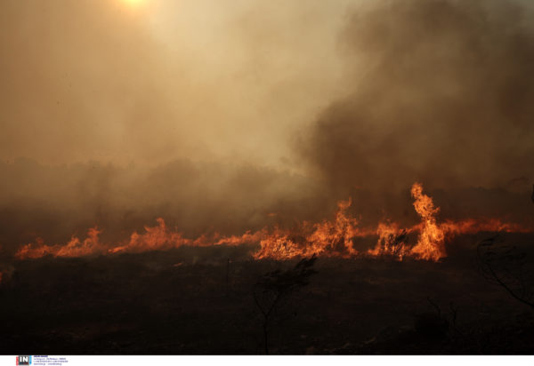 φωτιά στην Πεντέλη