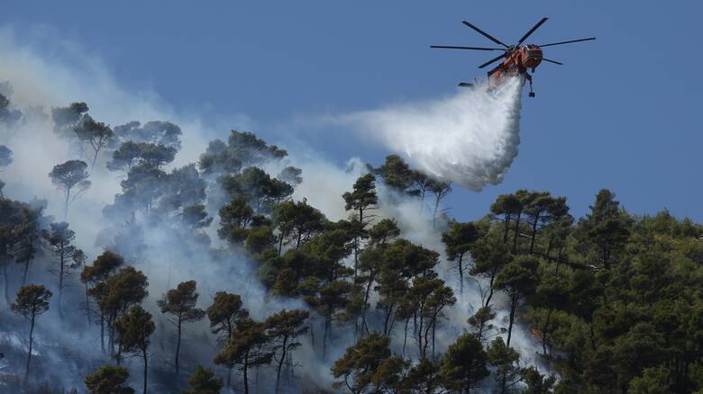 Ηλεία: Σε ύφεση η φωτιά – Μάχη της Πυροσβεστικής να αποτρέψει τις αναζωπυρώσεις