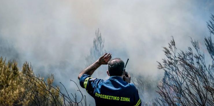 Φωτιά ΤΩΡΑ στην Παλλήνη