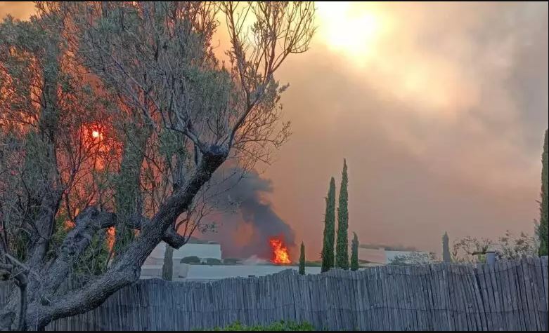 φωτιά - Αργολίδα