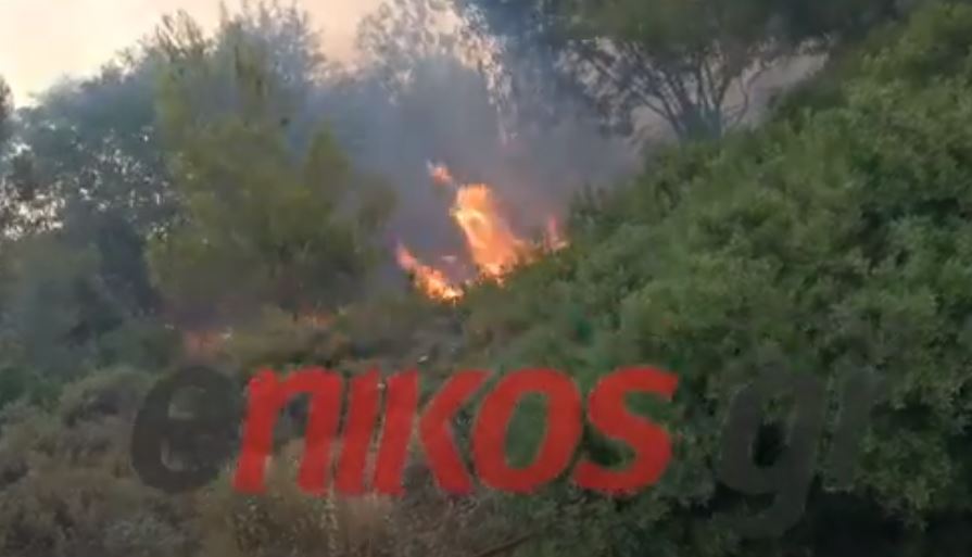 φωτιά στην Ανθούσα