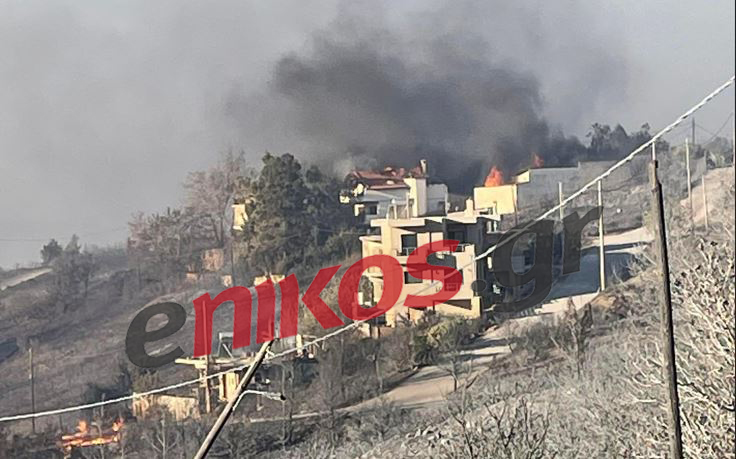 Φωτιά στην Ανθούσα