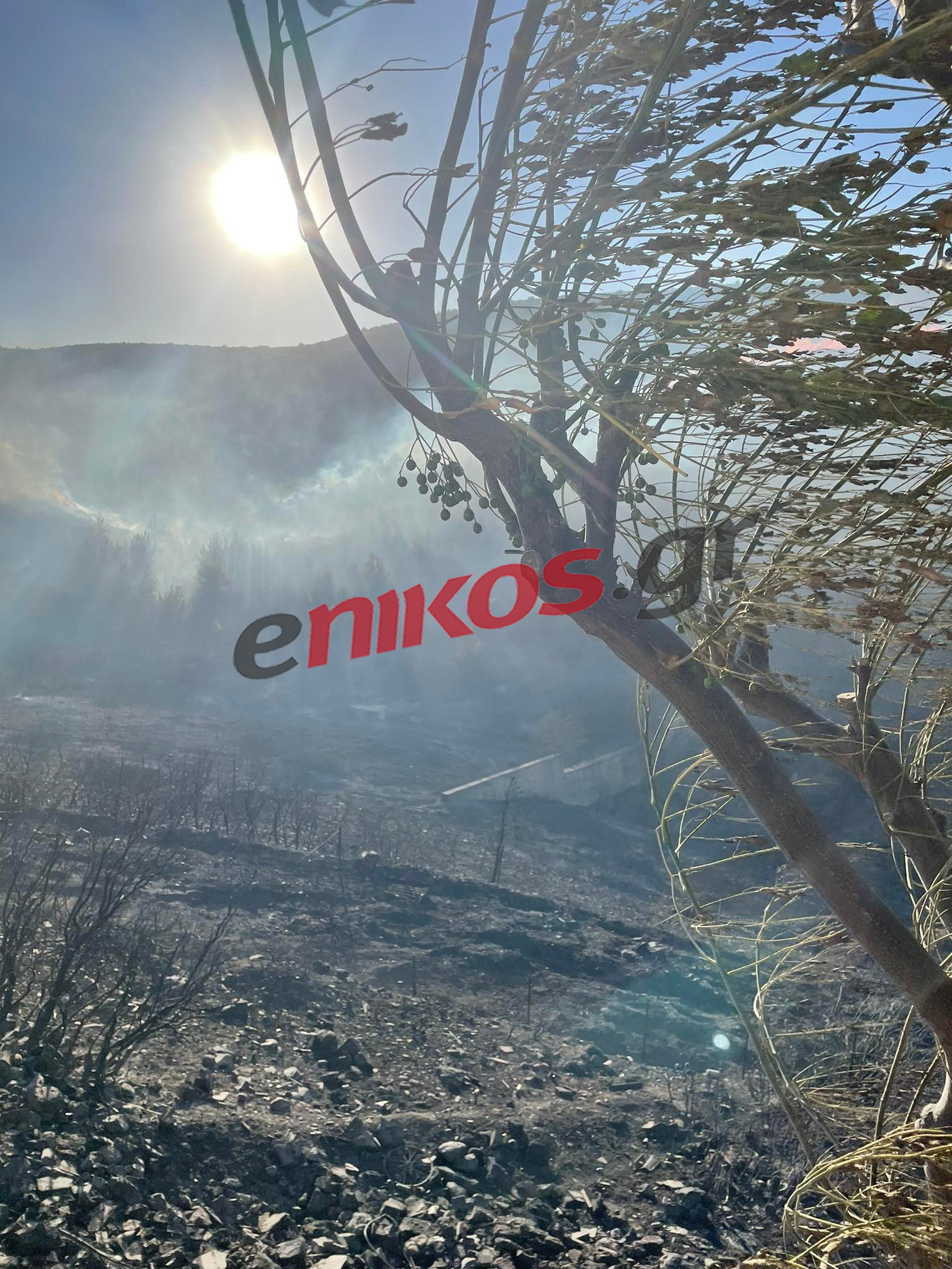 φωτιά στην Ανθούσα