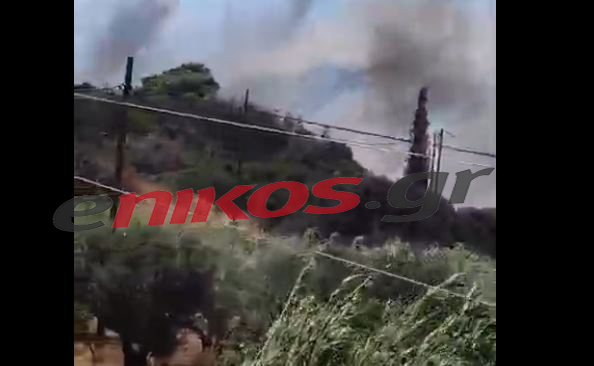 φωτιά στη Φέριζα Αττικής