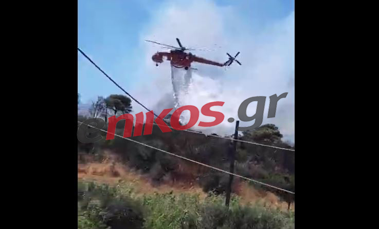 Φωτιά στη Φέριζα Αττικής: Βελτιωμένη η εικόνα – Περιορίστηκε το μέτωπο