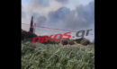 φωτιά στη Φέριζα Αττικής