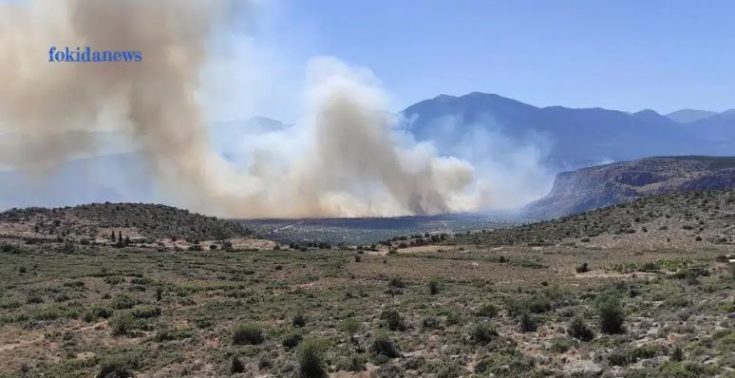 φωτιά Άμφισσα