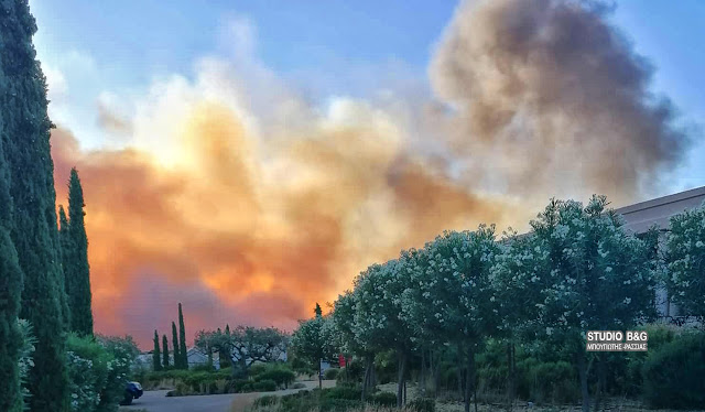 φωτιά Αργολίδα 