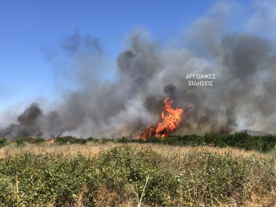 φωτιά Άργος