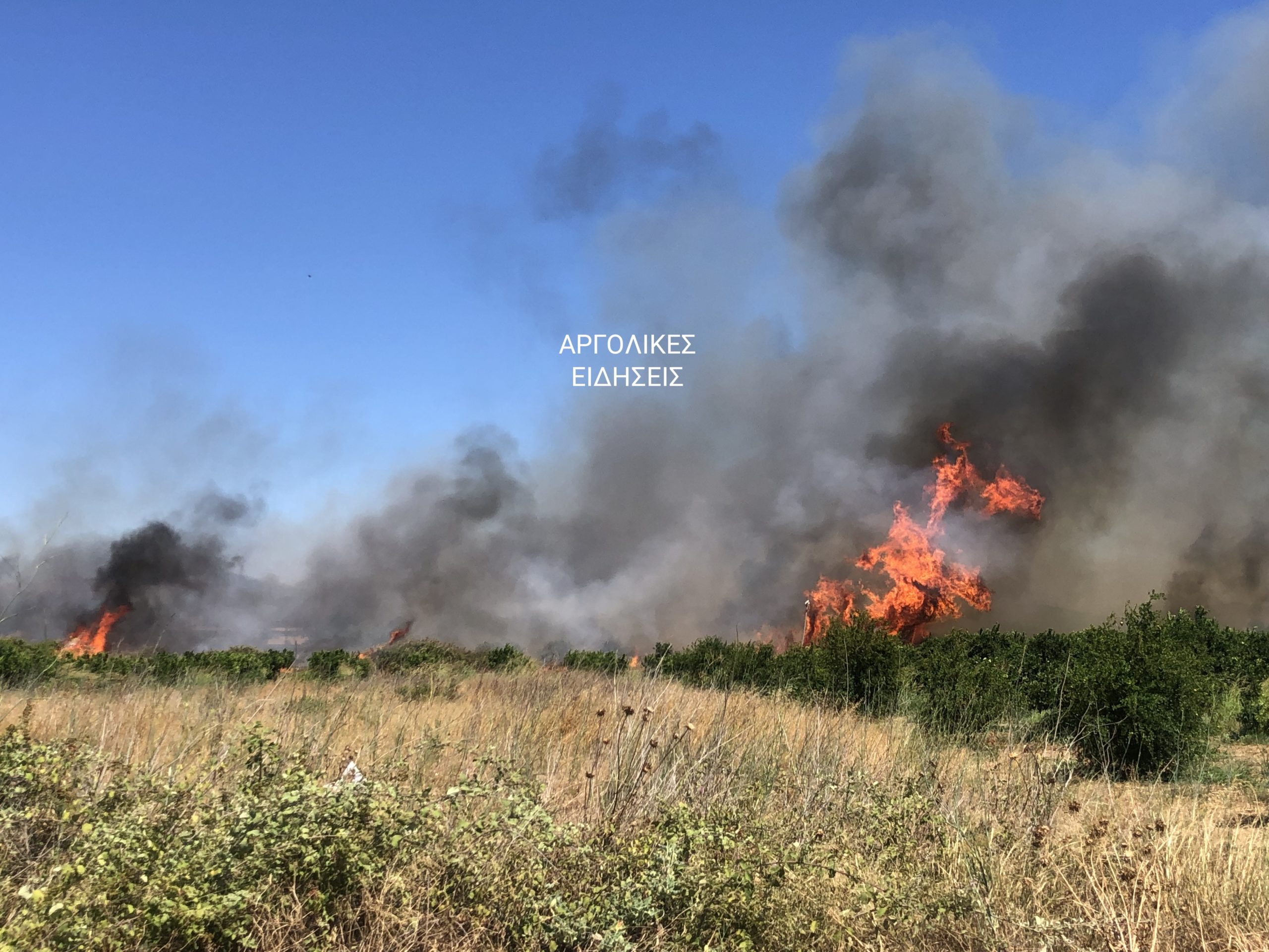 φωτιά Άργος