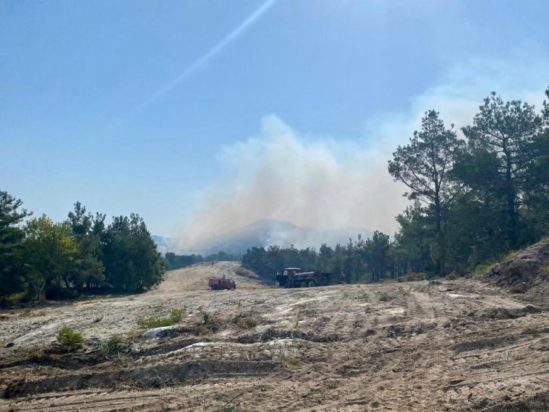 φωτιά Δαδιά