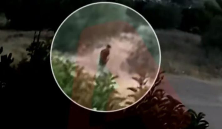 φωτιά εμπρησμός