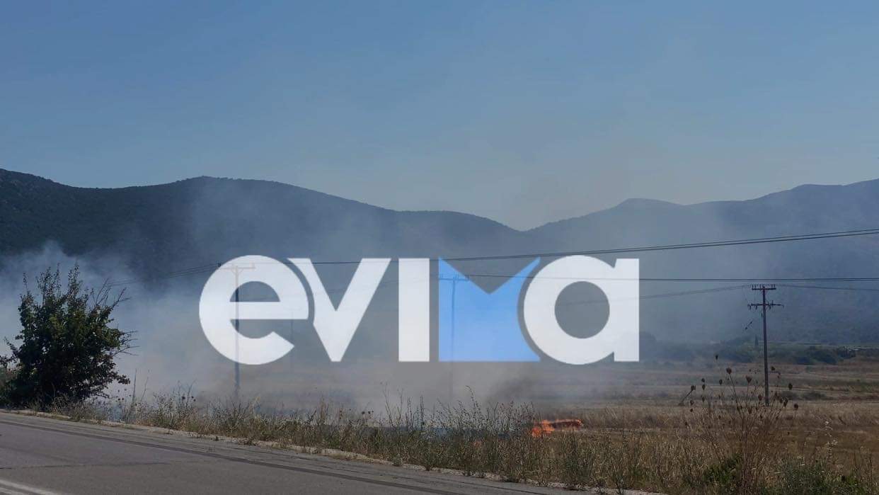 Φωτιά Εύβοια