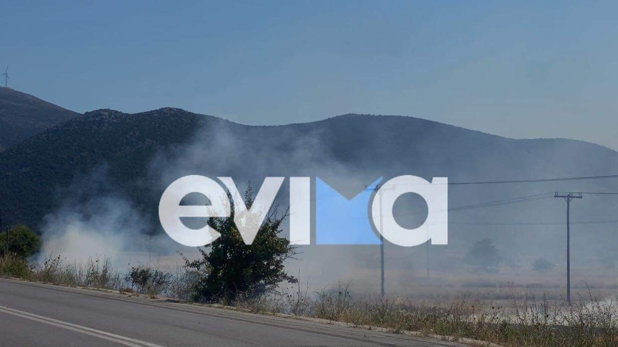 Φωτιά Εύβοια