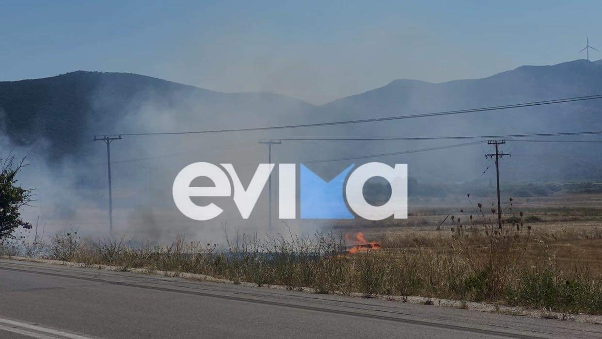 Φωτιά Εύβοια