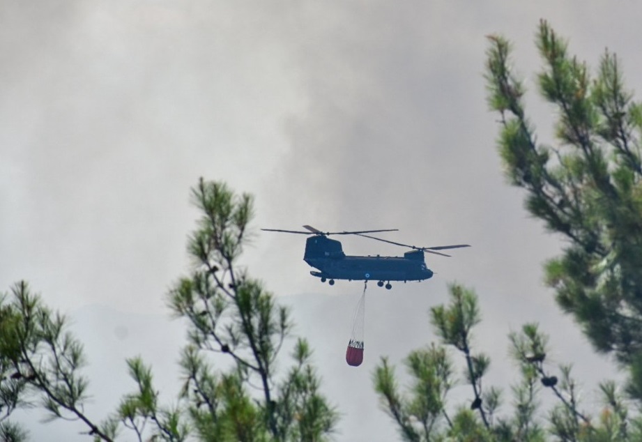Δάσος Δαδιάς: Από γης και αέρος οι Ένοπλες Δυνάμεις στη μάχη της φωτιάς – ΦΩΤΟ