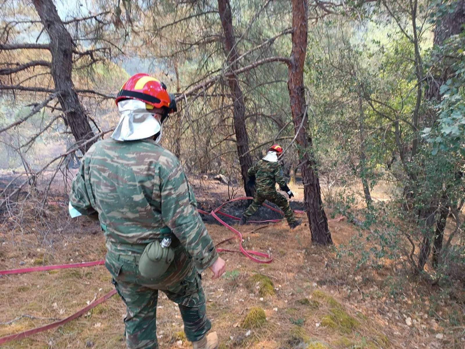 Φωτιά Έβρος Ένοπλες Δυνάμεις
