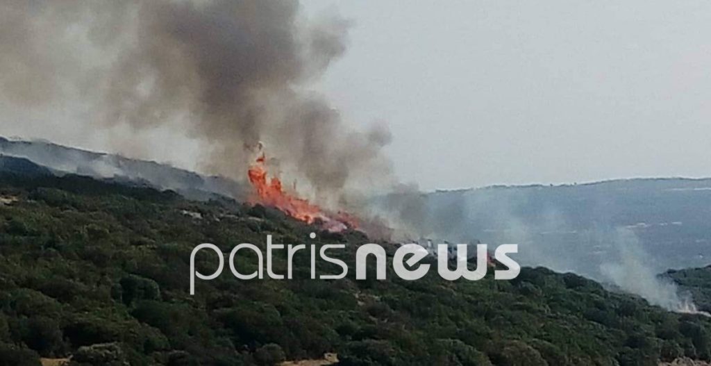 φωτιά στην Ηλεία