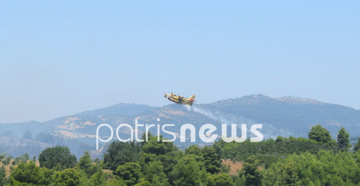 φωτιά Ηλεία