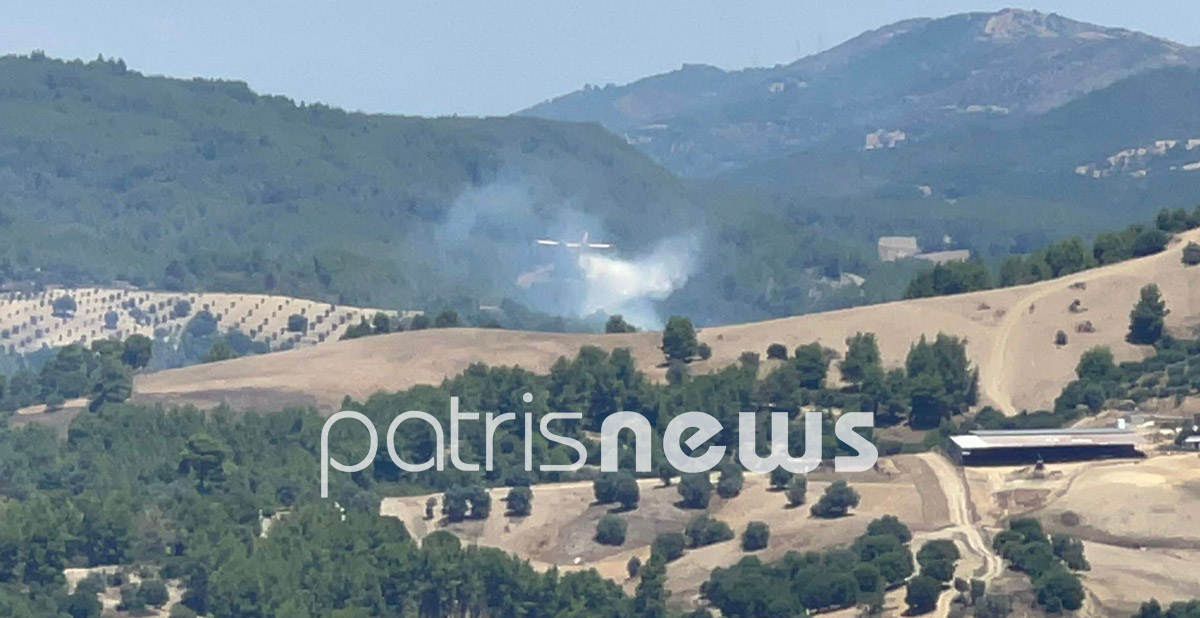 φωτιά Ηλεία