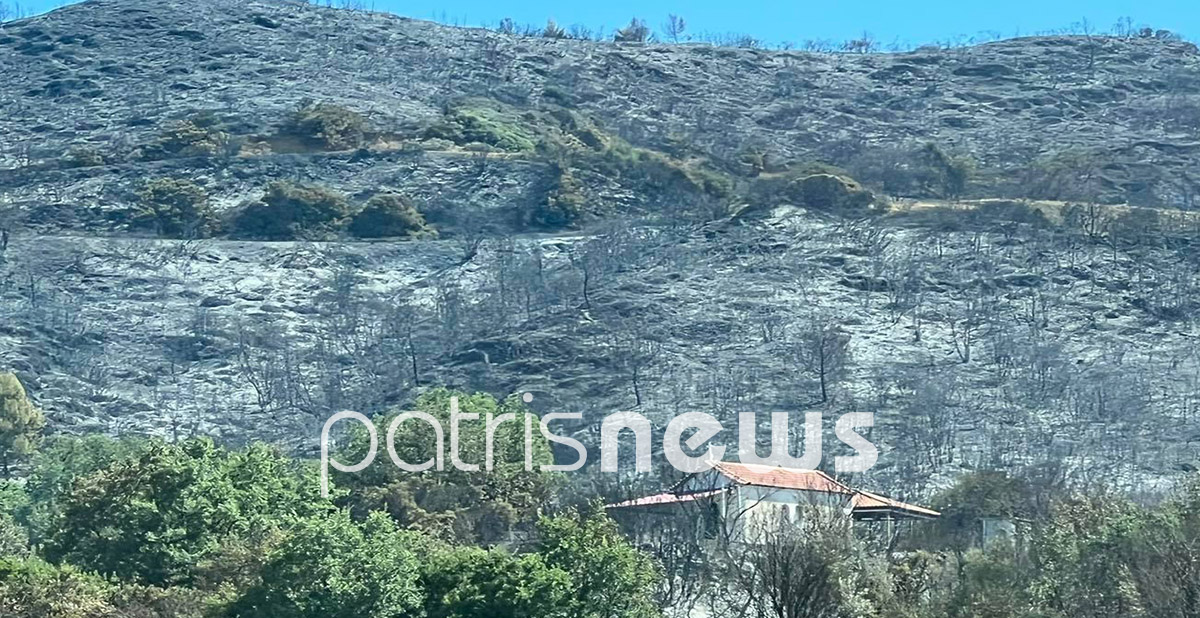 φωτιά Ηλεία