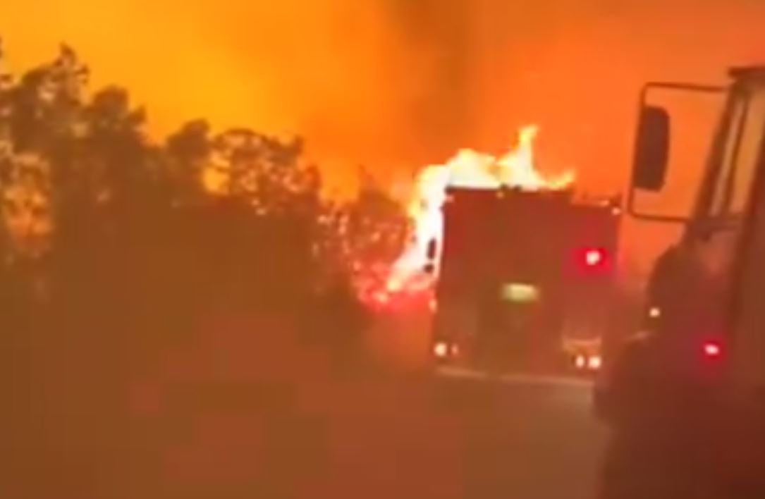 φωτιά λίμνη Δασίου