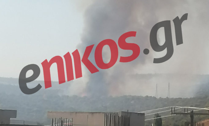 φωτιά στη Μάνδρα