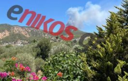 φωτιά στα Μέγαρα