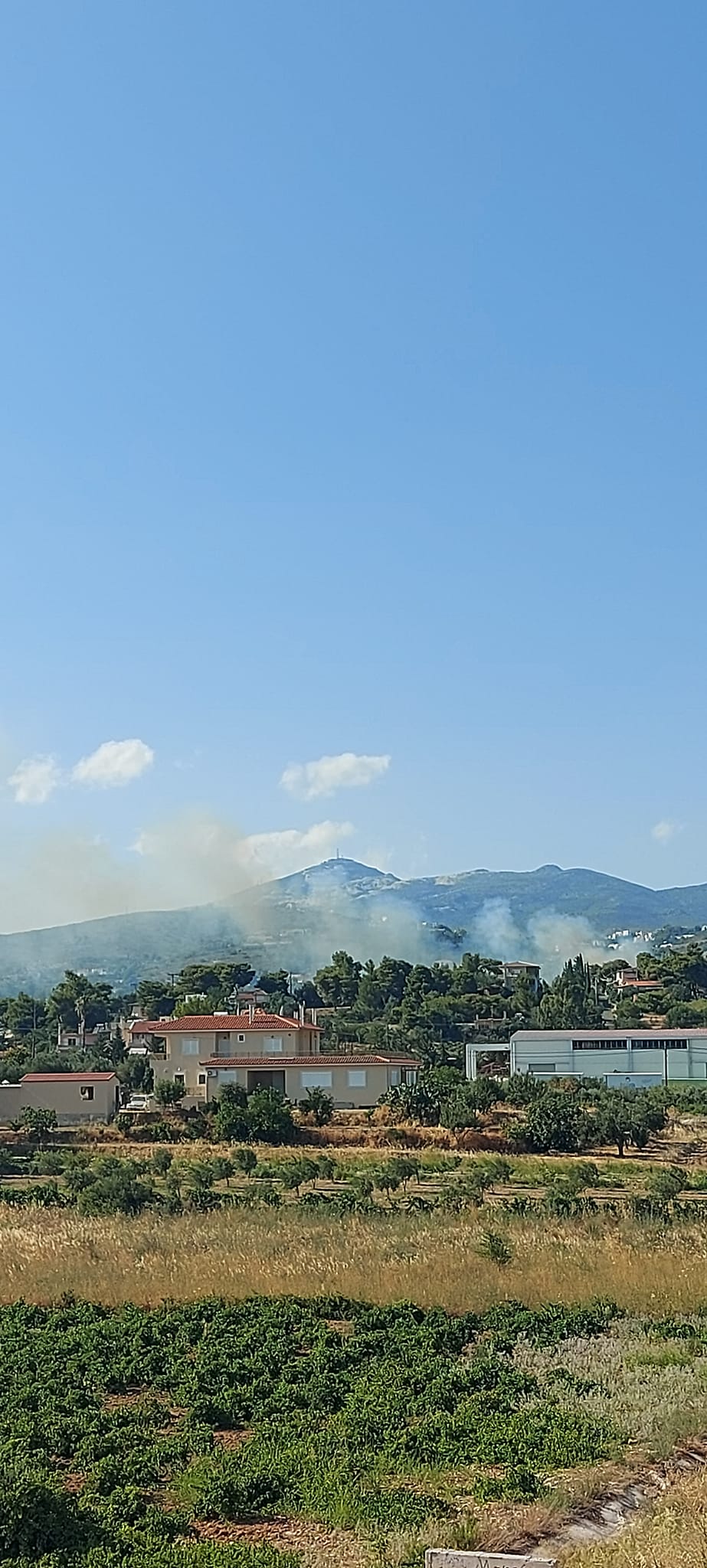 φωτιά Παλλήνη