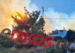 Φωτιά στην Πεντέλη