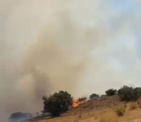 φωτιά στο Ρέθυμνο