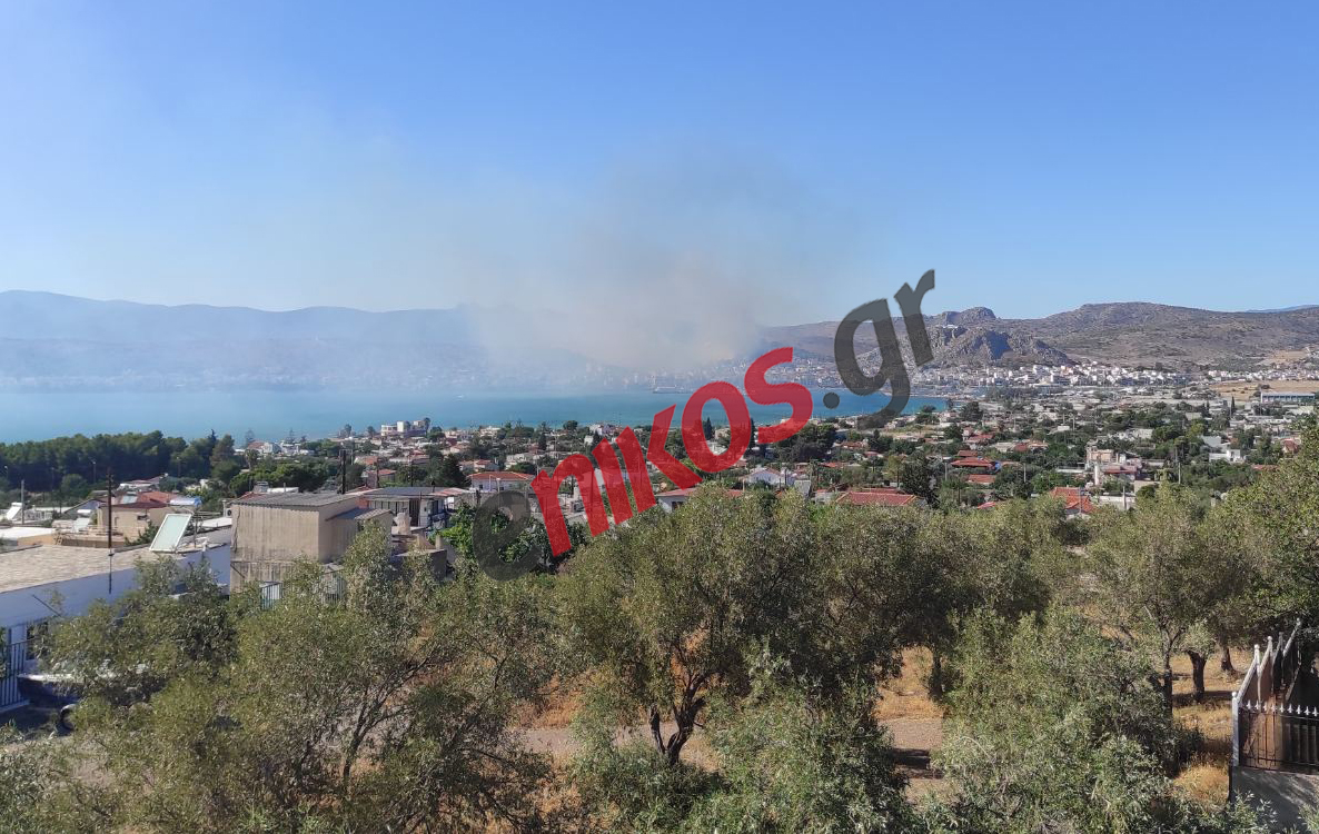 Φωτιά στη Σαλαμίνα