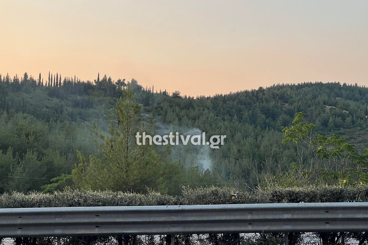 Θεσσαλονίκη: Άμεσα τέθηκε υπό έλεγχο η φωτιά στο Σέιχ Σου