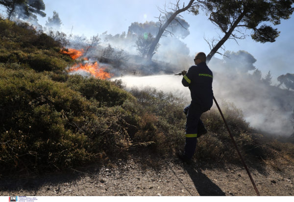 φωτιά στην Πεντέλη