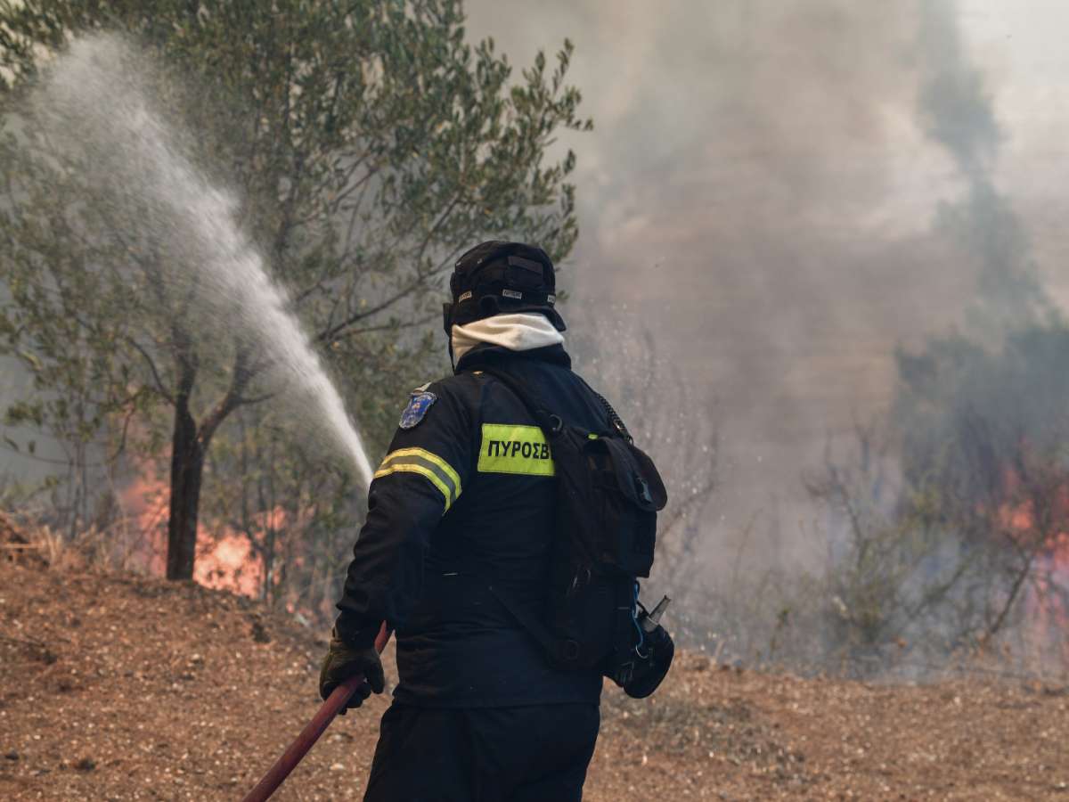 φωτιά Ζωφριά