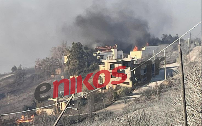 φωτιά Ανθούσα