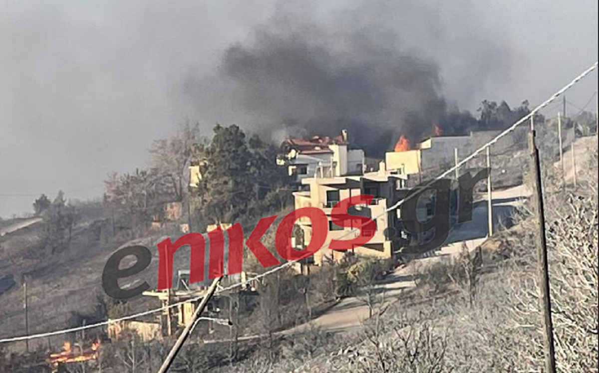 φωτιά Ανθούσα