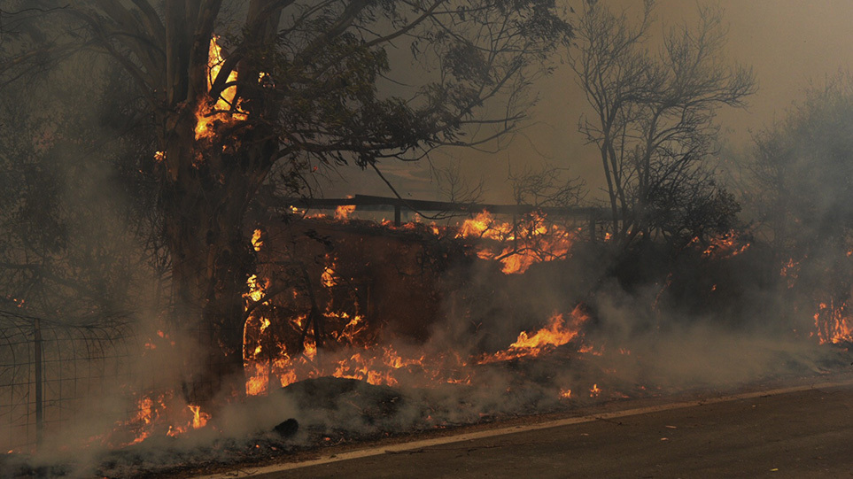 Φωτιά σε Αχαΐα – Ηλεία: Ανεξέλεγκτη η πυρκαγιά – Μήνυμα από το 112 – Προληπτική εκκένωση οικισμών