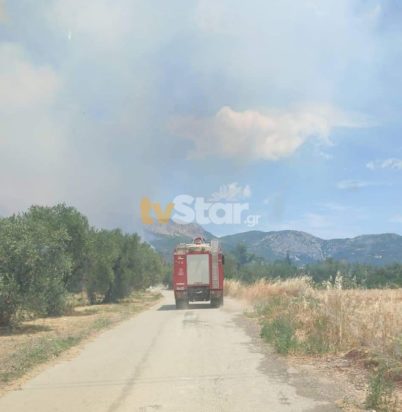 φωτιά Ελάτεια Φθιώτιδα