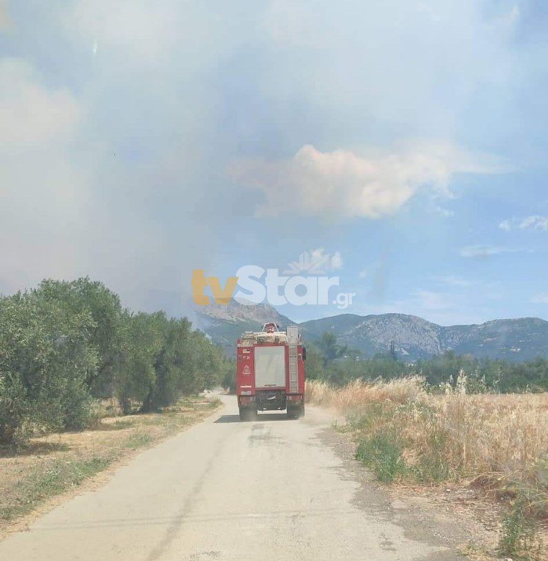 φωτιά Ελάτεια Φθιώτιδα