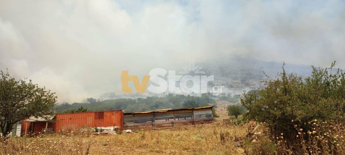 φωτιά Ελάτεια Φθιώτιδα