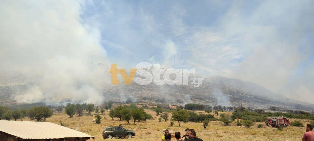 φωτιά Ελάτεια Φθιώτιδα