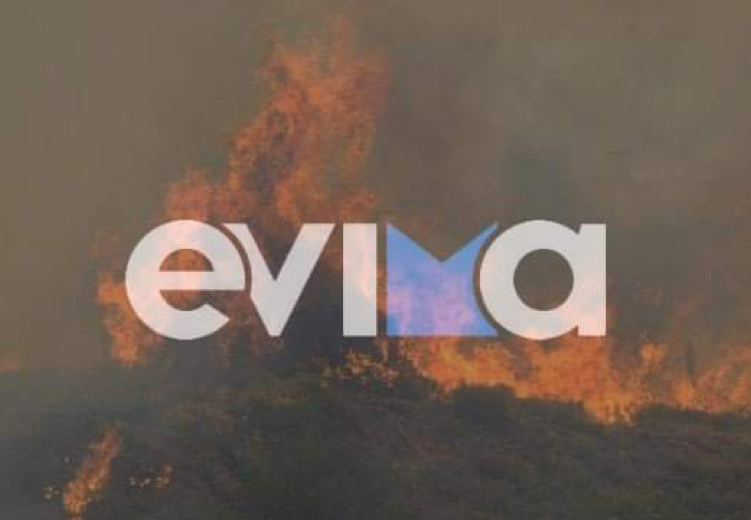 φωτιά στην Εύβοια